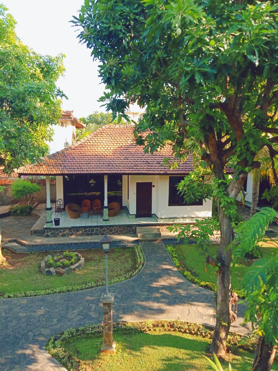 Rini Hotel Lovina Exterior foto