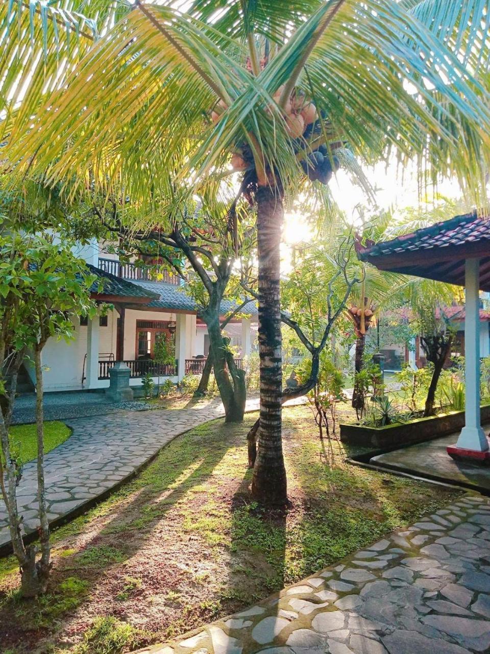 Rini Hotel Lovina Exterior foto