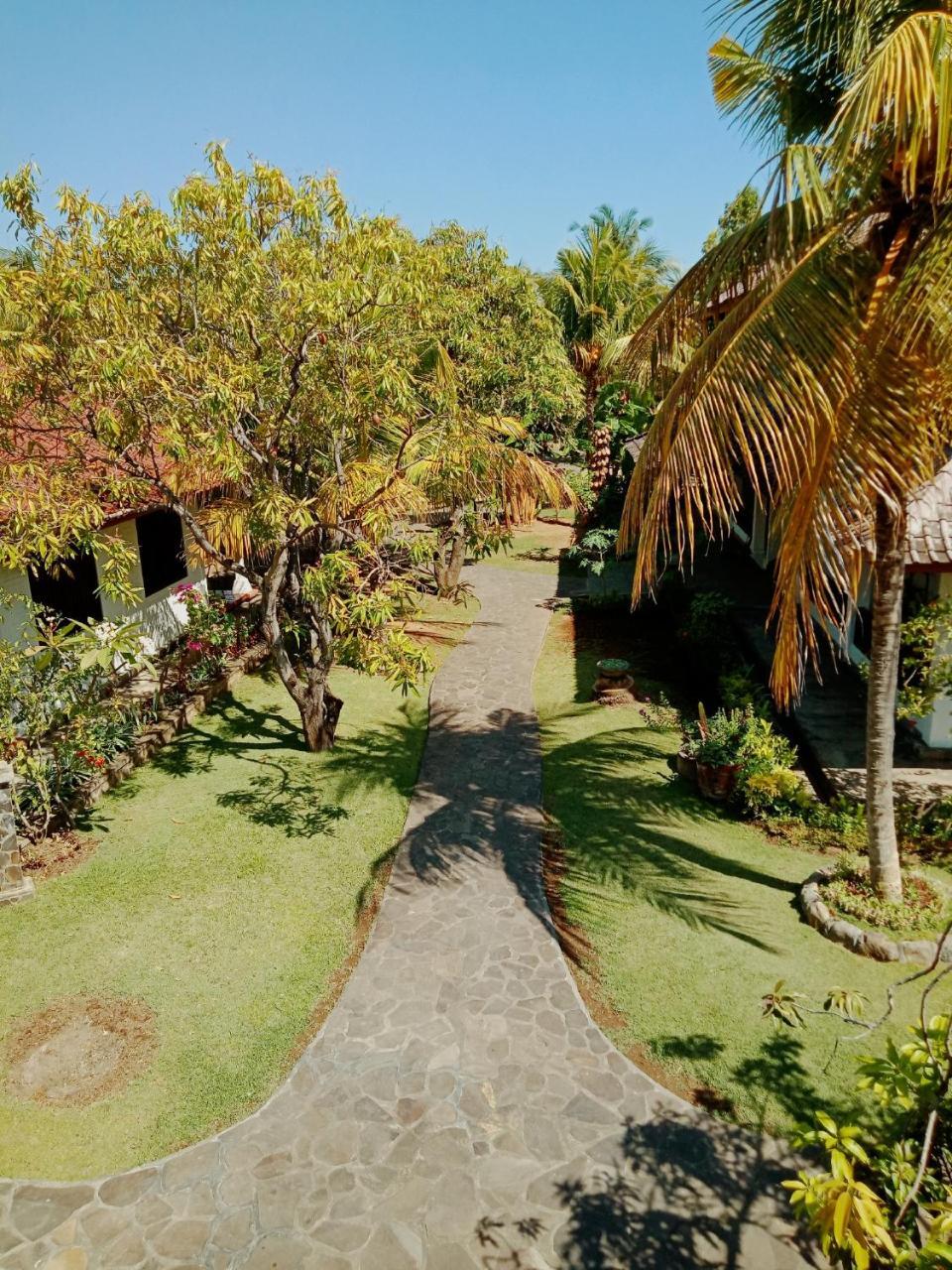 Rini Hotel Lovina Exterior foto