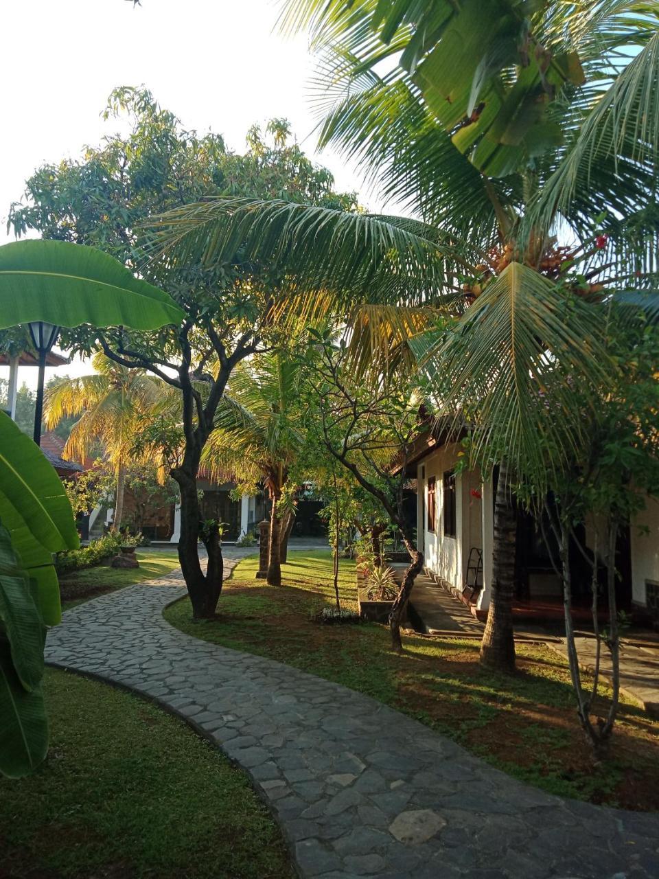 Rini Hotel Lovina Exterior foto