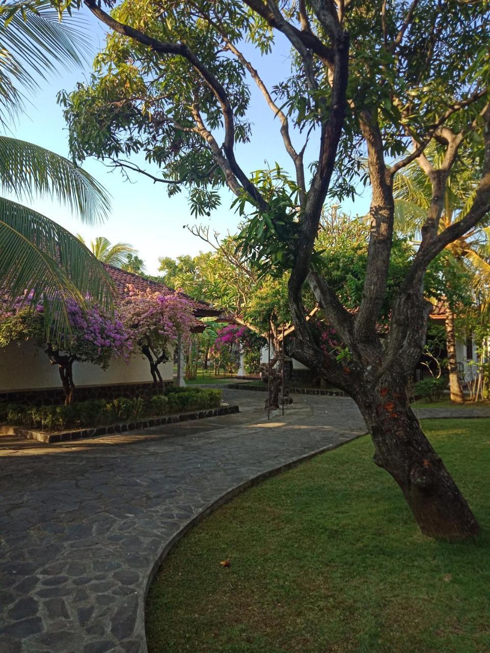 Rini Hotel Lovina Exterior foto
