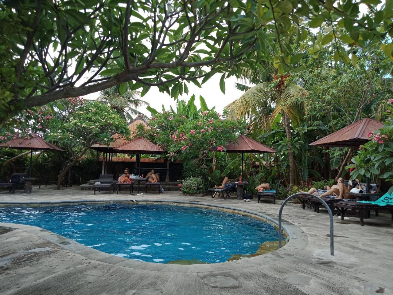 Rini Hotel Lovina Exterior foto