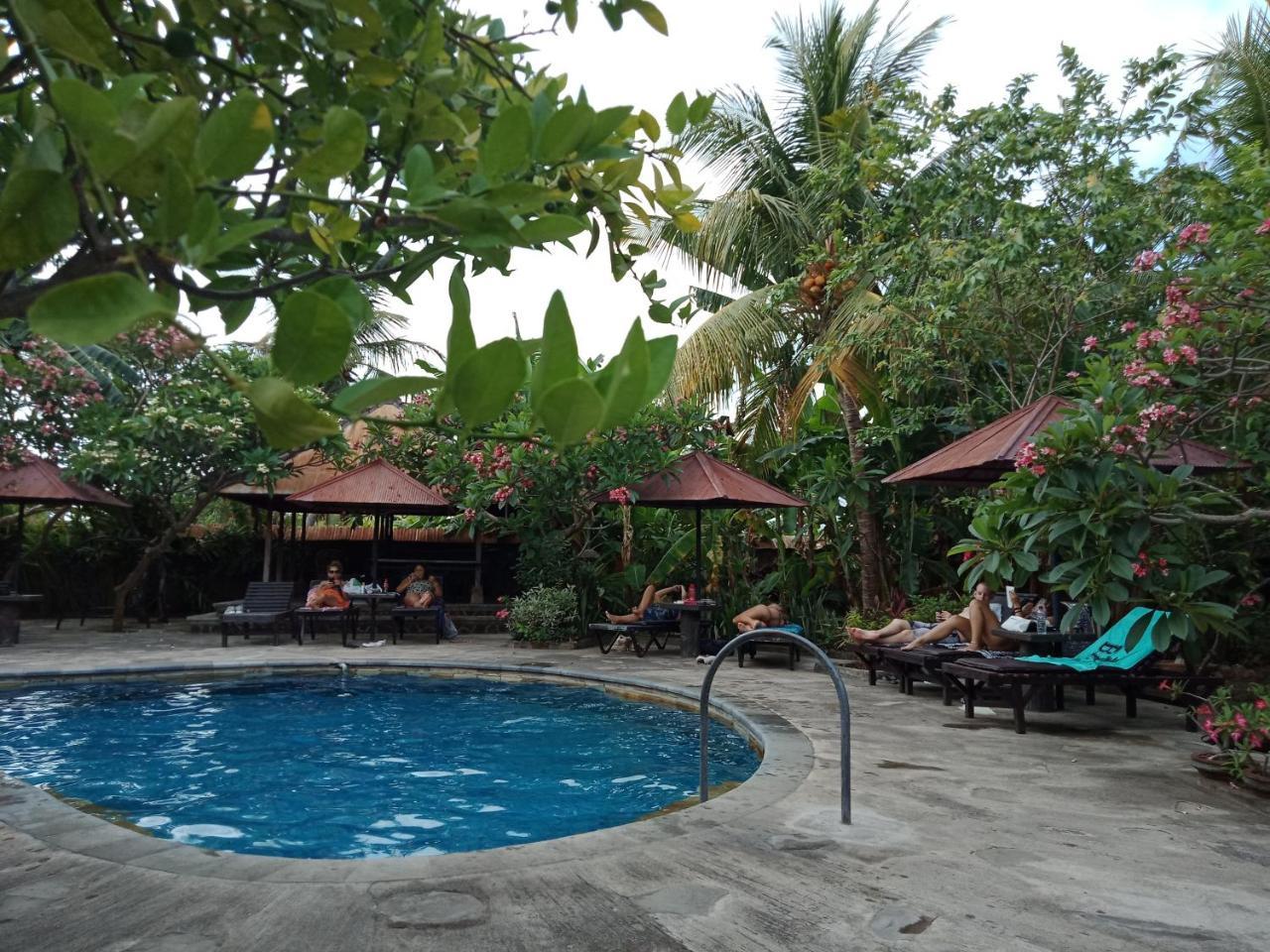 Rini Hotel Lovina Exterior foto