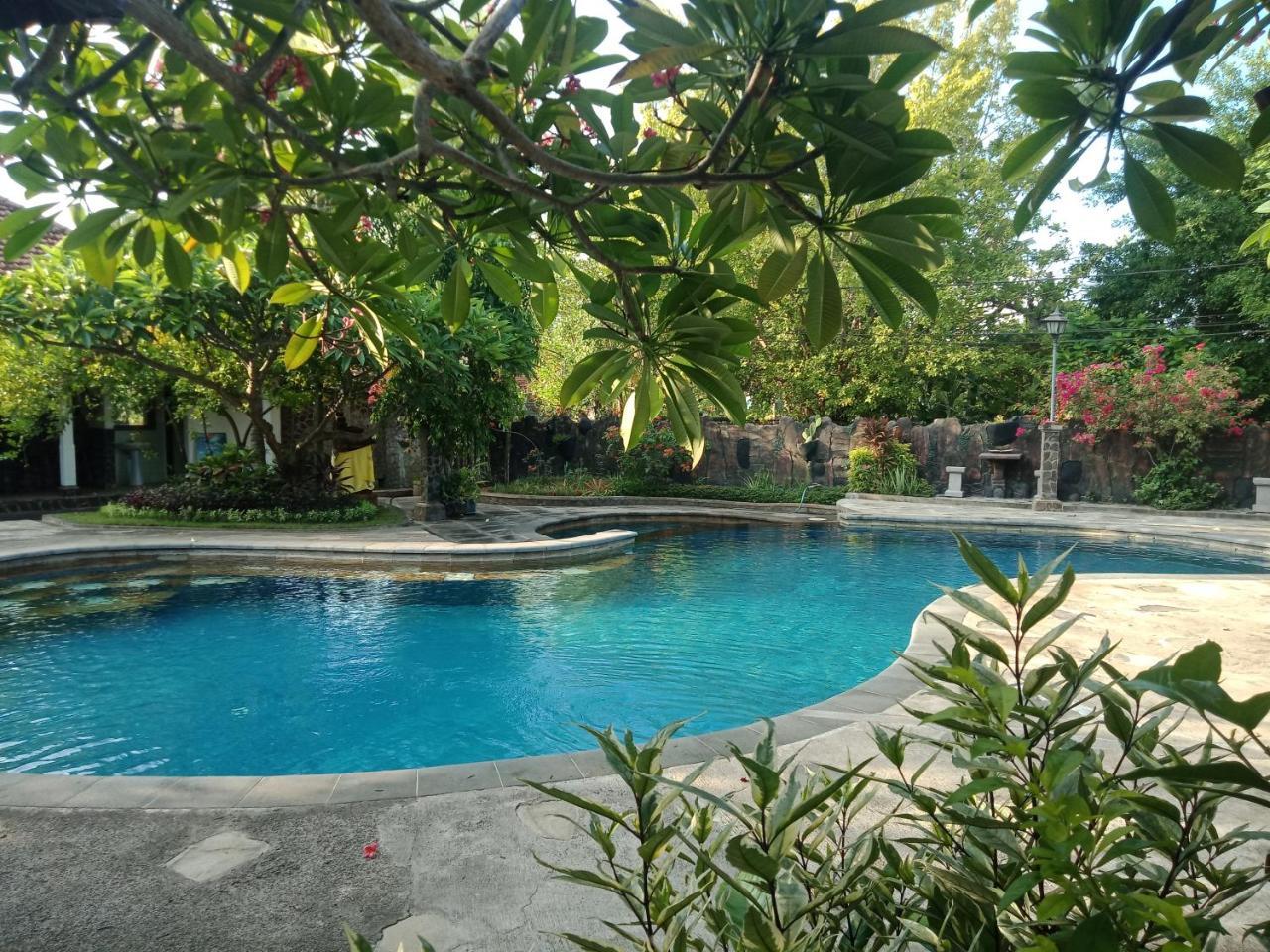 Rini Hotel Lovina Exterior foto